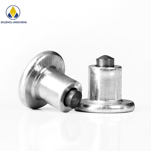 Winter Snow Ice Grip Studs Carbide Fat Bike Tire Studs